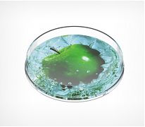 Дополнительное оборудование Монетница круглая RONDA по лучшей цене в нашем интернет-магазине. 